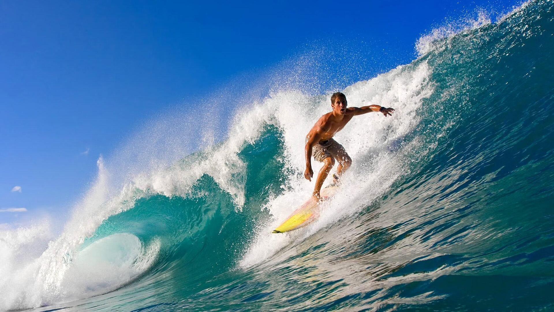 ky体育中国-全数字化赛车：未来赛场的智能化趋势，数字化赛道是什么